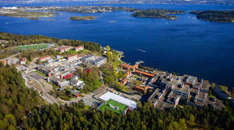 Il nostro inventario include una vasta gamma di veicoli.